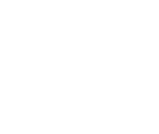 Duerocche Logo